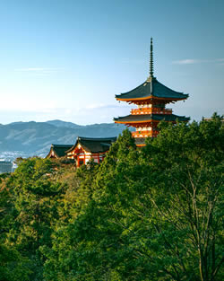 Devotional tour packages from Coimbatore