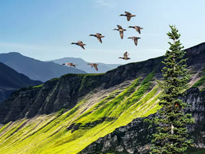 Pollachi day trip from Coimbatore