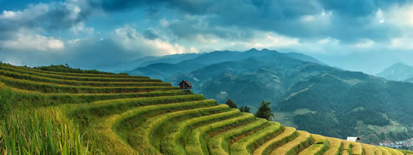 Munnar hill station tour from Coimbatore